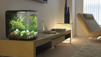 AnimalstoreXL Flow 30 MCR Zwart