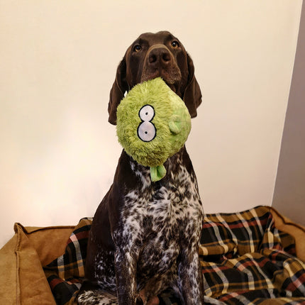 AnimalstoreXL Knuffel Vis Gary Roze