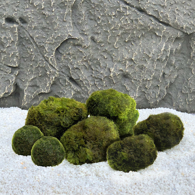 AnimalstoreXL Mosbollen Combinatie set 7st