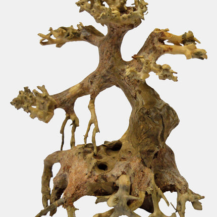 AnimalstoreXL Bonsai Driftwood XS