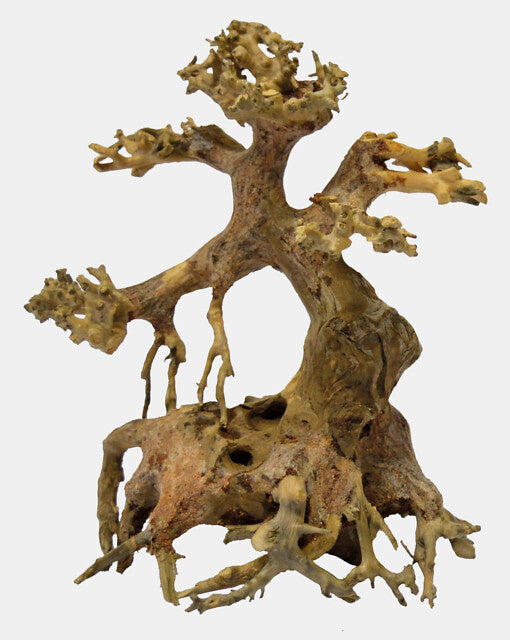 AnimalstoreXL Bonsai Driftwood XS