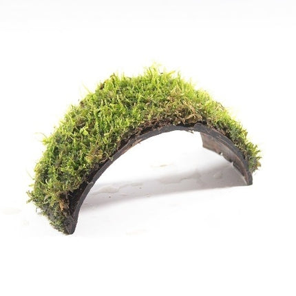 AnimalstoreXL Armband Kokosnoot Met Javamos