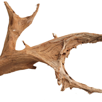 AnimalstoreXL Wortelhout groot