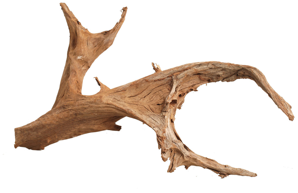 AnimalstoreXL Wortelhout groot