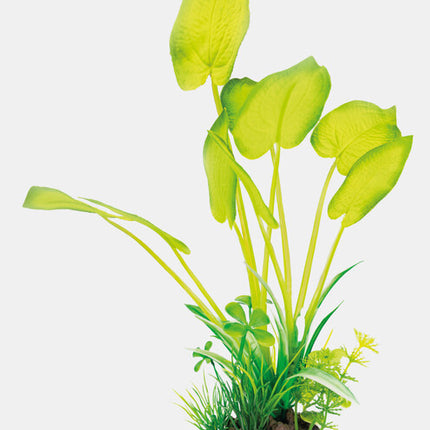 AnimalstoreXL Art Plant 25cm Echinodorus