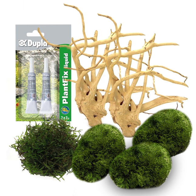 AnimalstoreXL Doe-het-zelf Decoratie set Hout