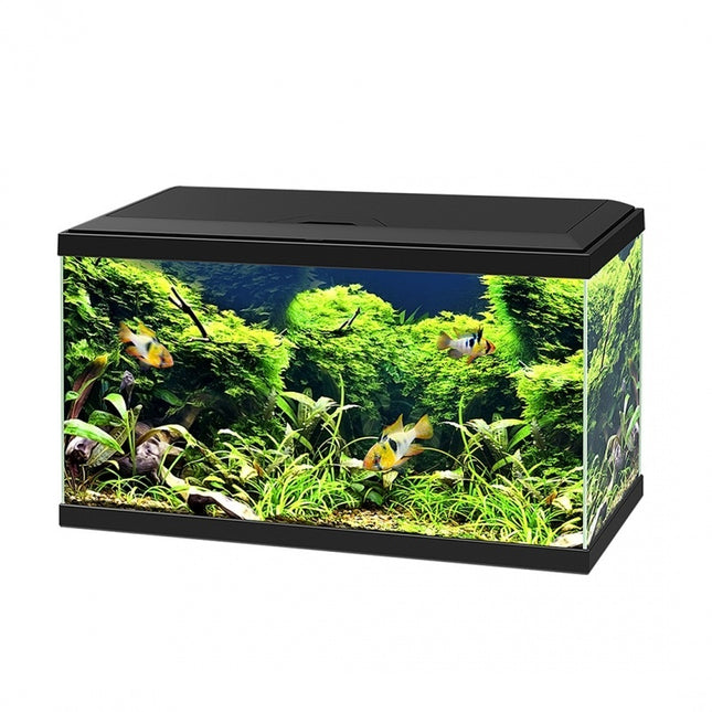 AnimalstoreXL Aquarium aqua 60 LED CF80 zwart