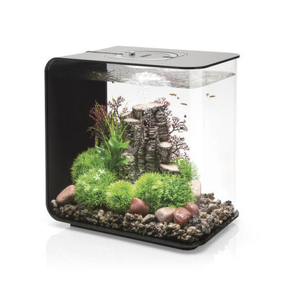 AnimalstoreXL Flow 30 MCR Zwart