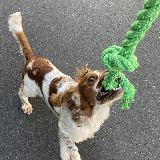 AnimalstoreXL Floss Speeltouw 5 Knopen 120cm Groen