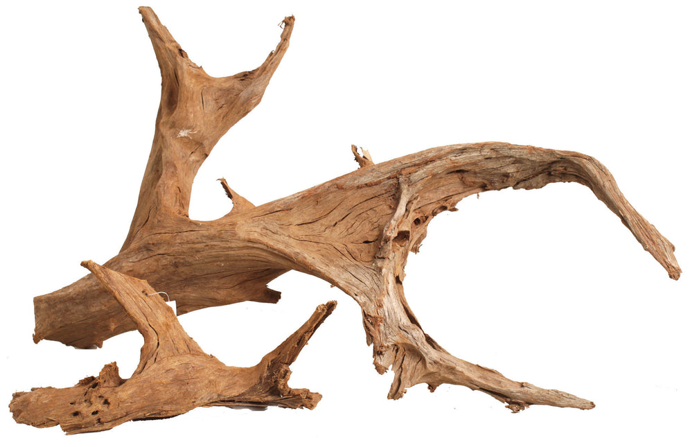 AnimalstoreXL Wortelhout groot