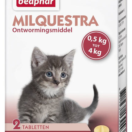 AnimalstoreXL Milquestra Kat Kitten 0,5-4kg