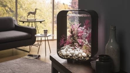 AnimalstoreXL Life 60 MCR Zwart