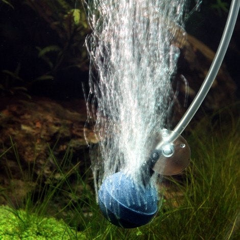 AnimalstoreXL ProSilent Aeras Micro Ball L