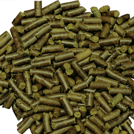 AnimalstoreXL Shrimp King Snail Stixx 45g