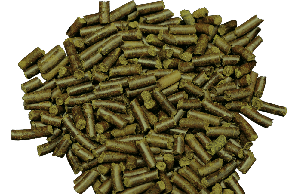 AnimalstoreXL Shrimp King Snail Stixx 45g