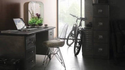 AnimalstoreXL Life 30 MCR Clear