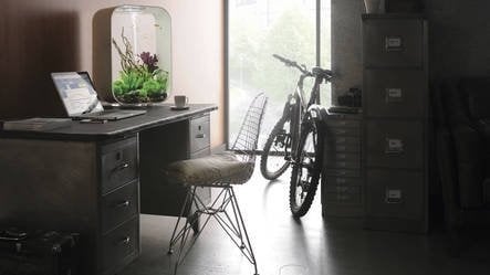 AnimalstoreXL Life 30 MCR Clear