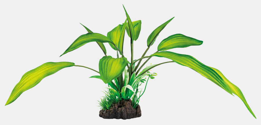 AnimalstoreXL Art Plant 25cm Cryptocoryne