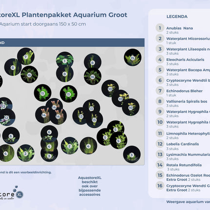 AnimalstoreXL Plantenpakket Extra Extra Large