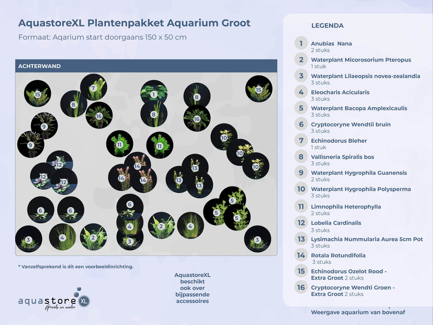 AnimalstoreXL Plantenpakket Extra Extra Large