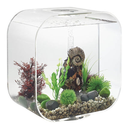 AnimalstoreXL Life 30 MCR Clear