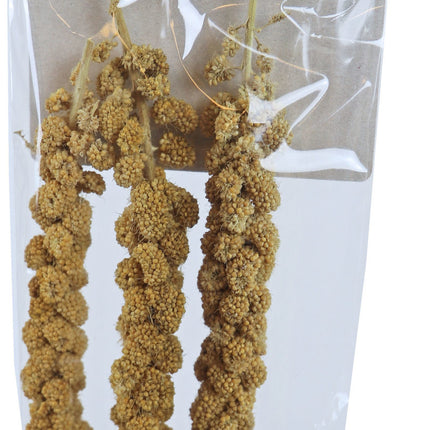 AnimalstoreXL Trosgierst Geel voor Parkiet en Grasparkiet 75g