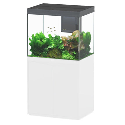 AnimalstoreXL Aquarium Volga 200 Antraciet-097