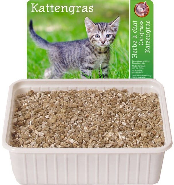 AnimalstoreXL Kat Voerpuzzel met Kattengras