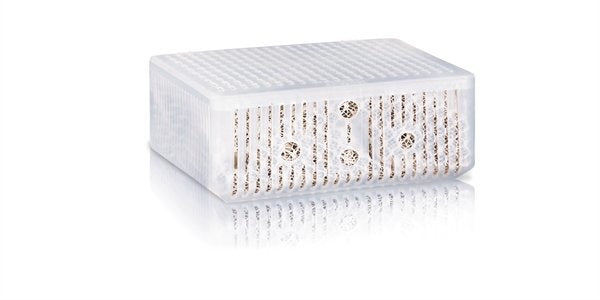 AnimalstoreXL Phorax Bioflow 8.0/Jumbo