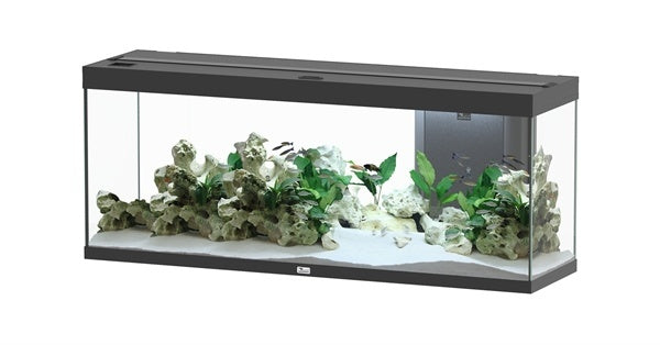 AnimalstoreXL Splendid 150 aquarium