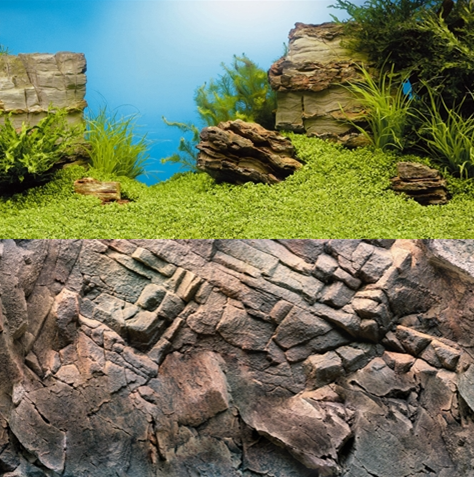 AnimalstoreXL Poster 1 Tweezijdig Gedrukt