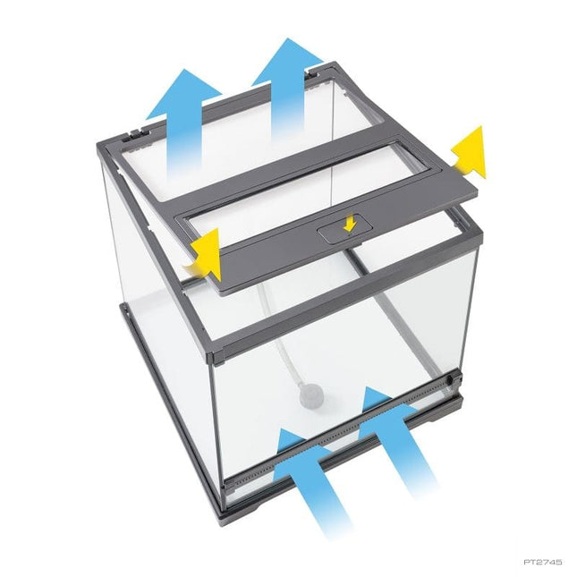 AnimalstoreXL Pijlgifkikkerterrarium 45x45x45cm