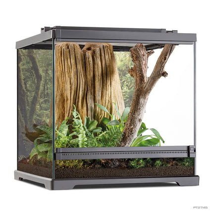 AnimalstoreXL Pijlgifkikkerterrarium 45x45x45cm