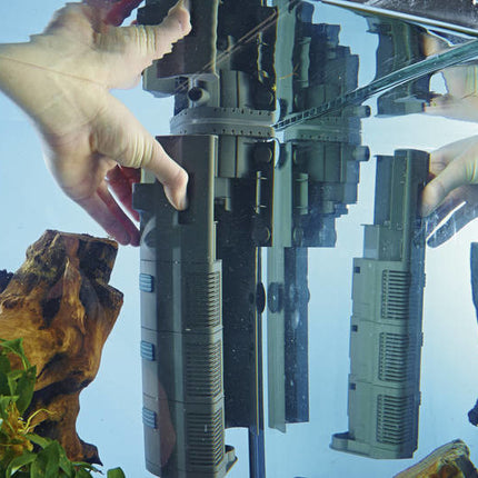 AnimalstoreXL BioPlus Thermo 50