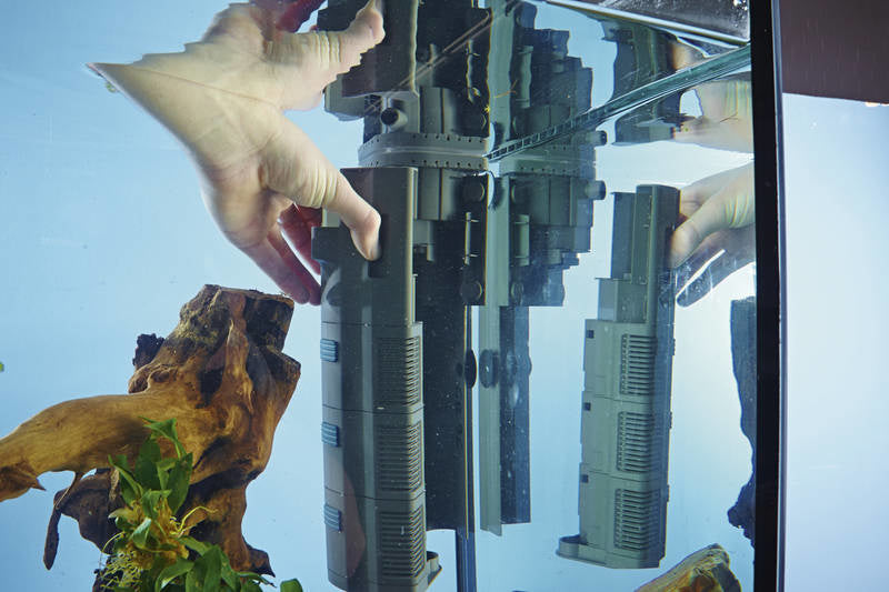 AnimalstoreXL BioPlus Thermo 50