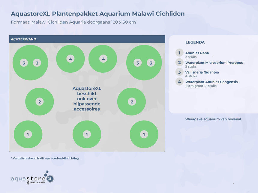 AnimalstoreXL Plantenpakket Aquarium Malawi Cichliden