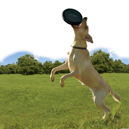 AnimalstoreXL Flyer Rubber Zwart 22,5cm