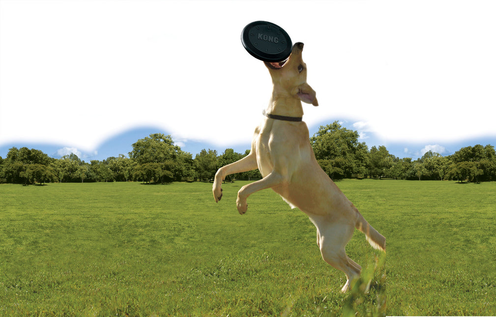 AnimalstoreXL Flyer Rubber Zwart 22,5cm