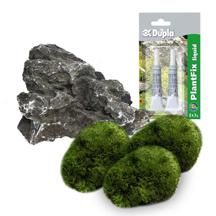 AnimalstoreXL Doe-het-zelf Decoratie set Steen