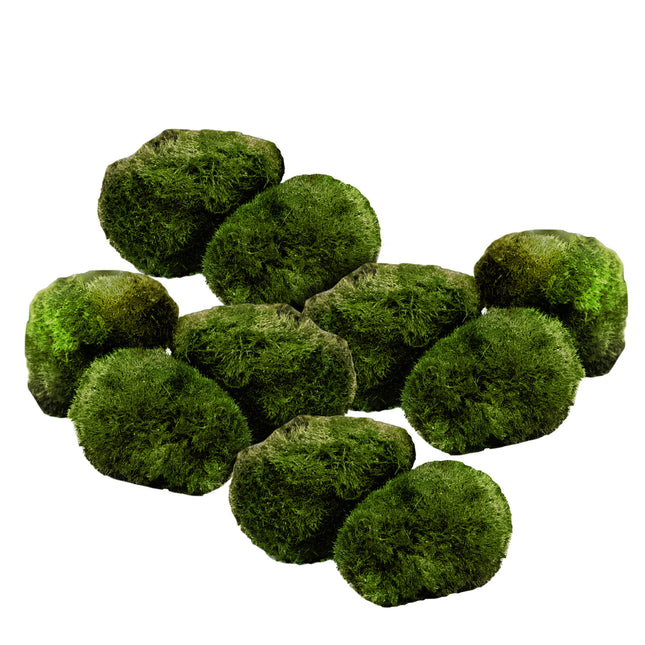 AnimalstoreXL Mosbol Chladoflora SS 2cm 10x