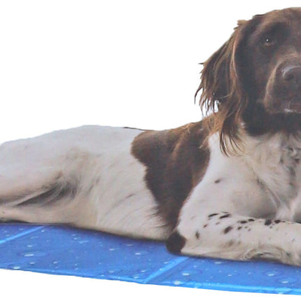 AnimalstoreXL Kowloon - Cool Mat Bubble