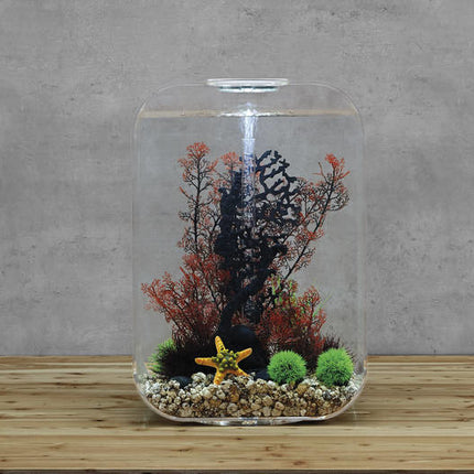 AnimalstoreXL Life 60 MCR Clear