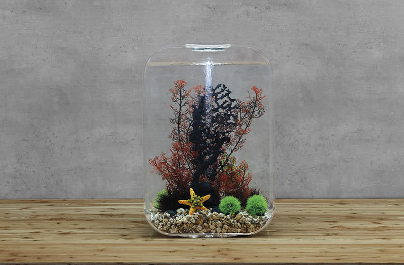 AnimalstoreXL Life 60 MCR Clear