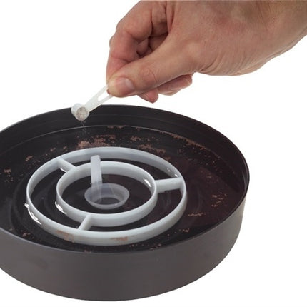 AnimalstoreXL Artemia Eitjes 20ml