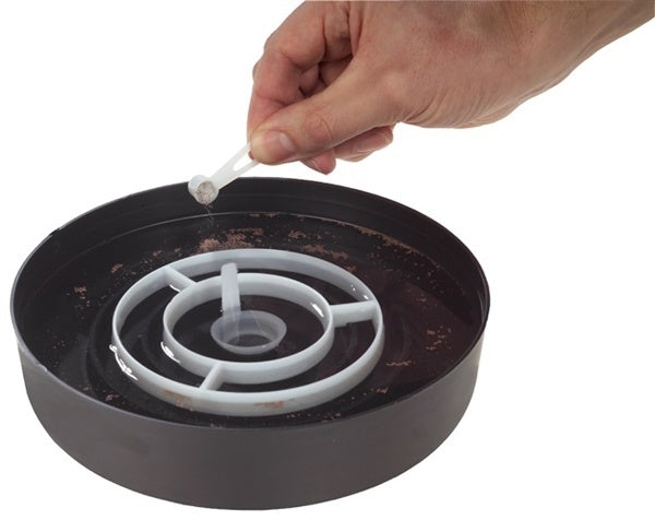 AnimalstoreXL Artemia Eitjes 20ml