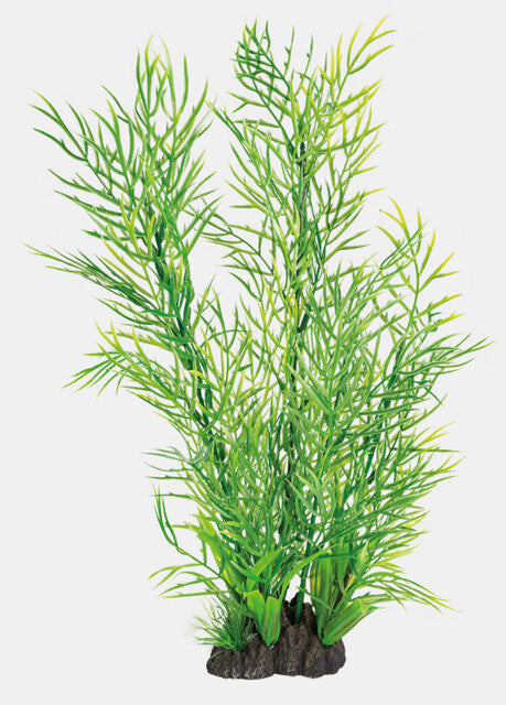 AnimalstoreXL Art Plant 40cm Ceratopteris