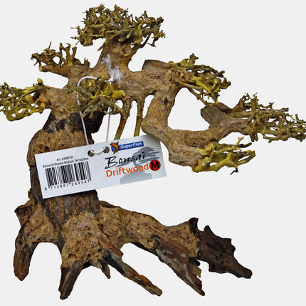 AnimalstoreXL Bonsai Driftwood M