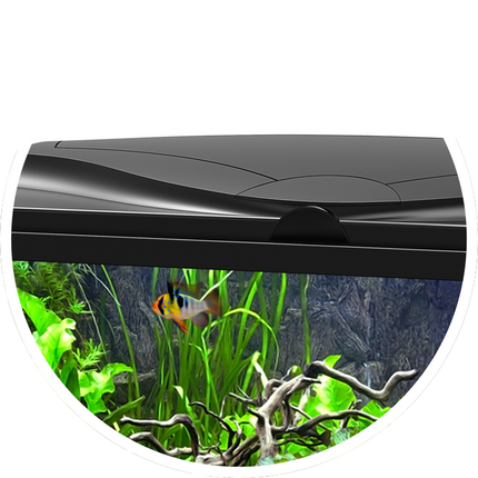 AnimalstoreXL Aquarium aqua 60 LED CF80 zwart