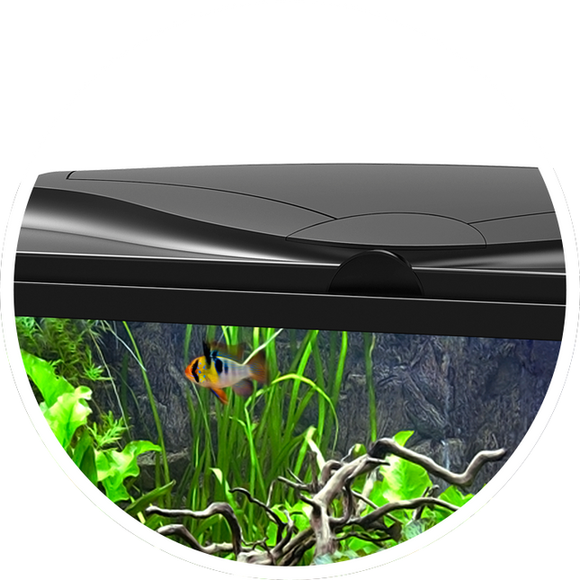 AnimalstoreXL Aquarium aqua 60 LED CF80 zwart