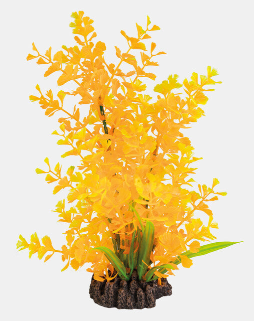 AnimalstoreXL Art Plant 25cm Ludwigia Orange